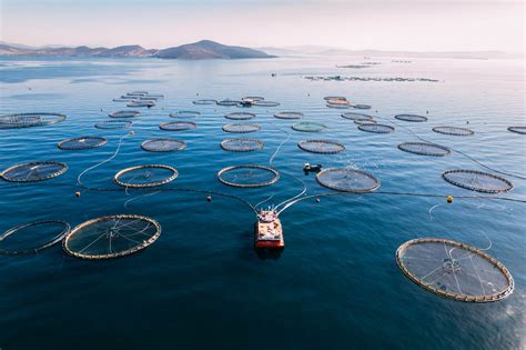 Fisheries .